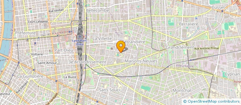 localisation de l'entreprise MONSIEUR NICOLAS FONTANIN  LYON