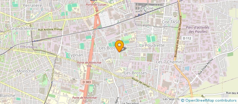 localisation de l'entreprise MONSIEUR NICOLAS FOUCHER  VILLEURBANNE