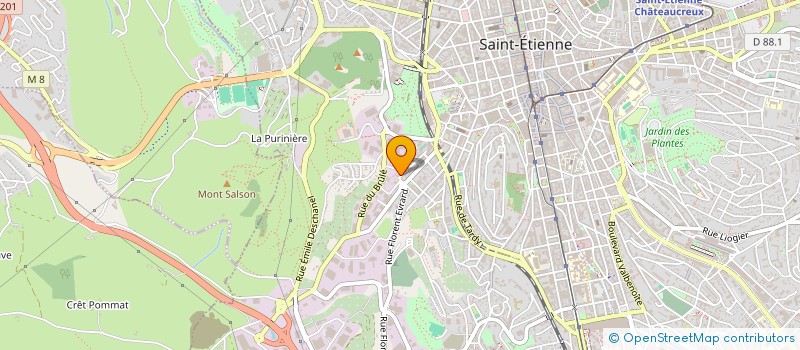 localisation de l'entreprise MONSIEUR NICOLAS FOUIX  SAINT-ETIENNE