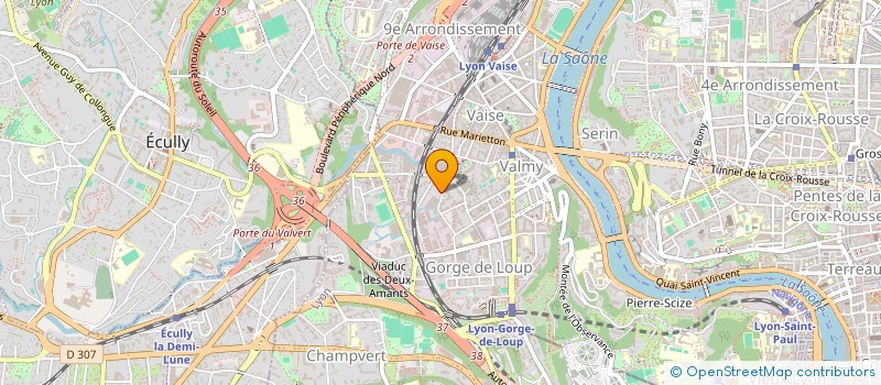 localisation de l'entreprise MONSIEUR NICOLAS FOURNEL  LYON