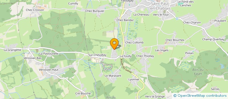 localisation de l'entreprise MONSIEUR NICOLAS FOURNIER  SAINT-PAUL-EN-CHABLAIS