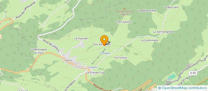 localisation de l'entreprise MONSIEUR NICOLAS FRANCOIS  LAJOUX