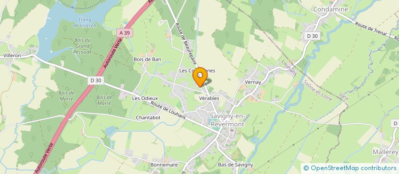 localisation de l'entreprise MONSIEUR NICOLAS FROIDEVAL  SAVIGNY-EN-REVERMONT