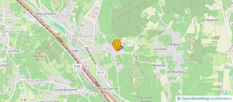 localisation de l'entreprise MONSIEUR NICOLAS GAGNIERE  SOLOGNY