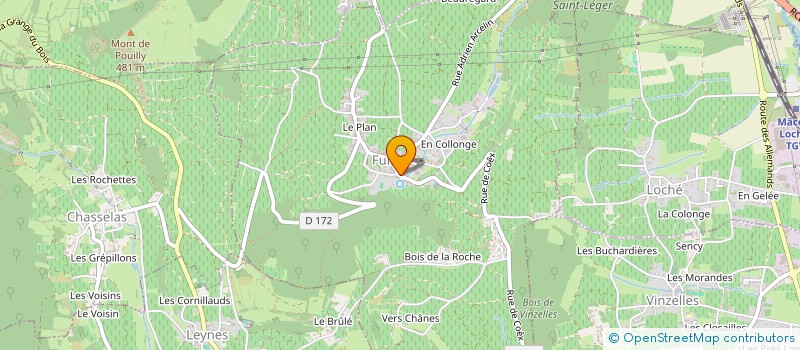 localisation de l'entreprise MONSIEUR NICOLAS GENIN  FUISSE