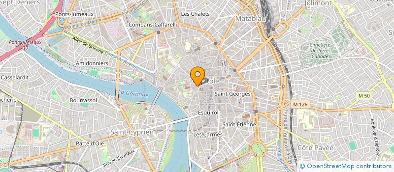 localisation de l'entreprise MONSIEUR NICOLAS GEORGES à TOULOUSE
