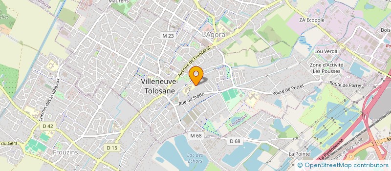 localisation de l'entreprise MONSIEUR NICOLAS GOTTE  FROUZINS