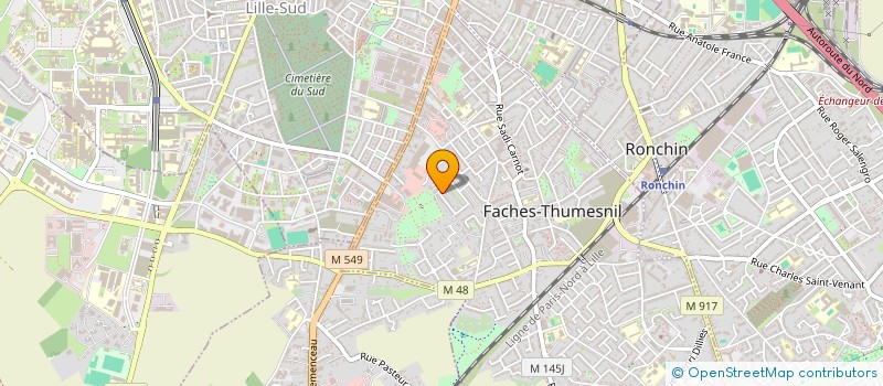 localisation de l'entreprise MONSIEUR NICOLAS GOUGET  FACHES-THUMESNIL