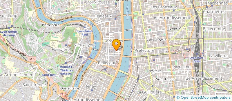localisation de l'entreprise MONSIEUR NICOLAS GOUNOT  LYON