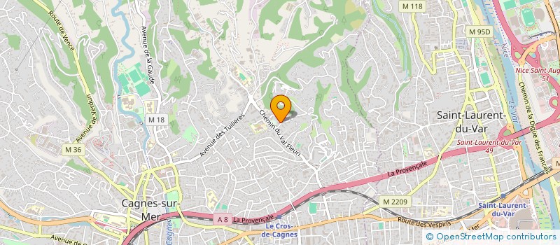 localisation de l'entreprise MONSIEUR NICOLAS GUFFROY à CAGNES-SUR-MER