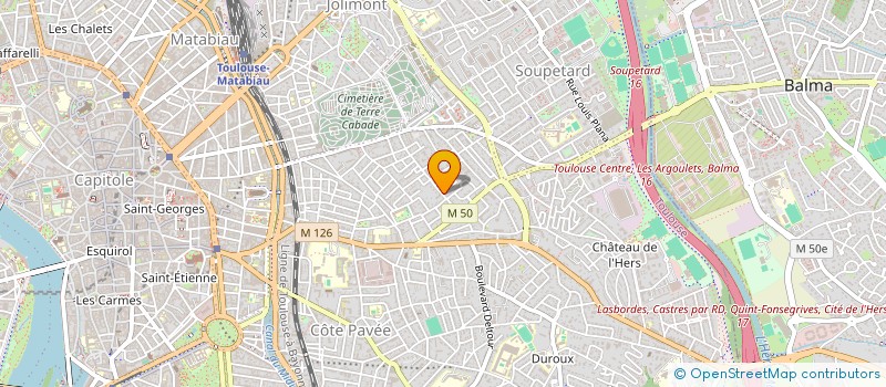 localisation de l'entreprise MONSIEUR NICOLAS GUINOT à TOULOUSE