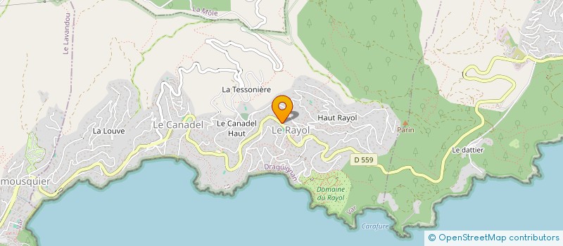 localisation de l'entreprise MONSIEUR NICOLAS HADJI-MINAGLOU à RAYOL-CANADEL-SUR-MER