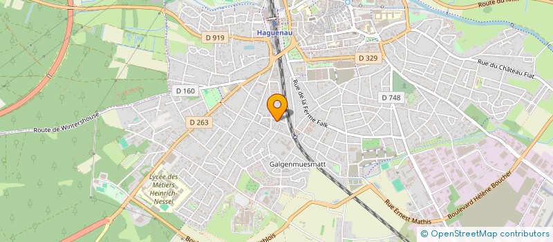 localisation de l'entreprise MONSIEUR NICOLAS HAULLARD  HAGUENAU