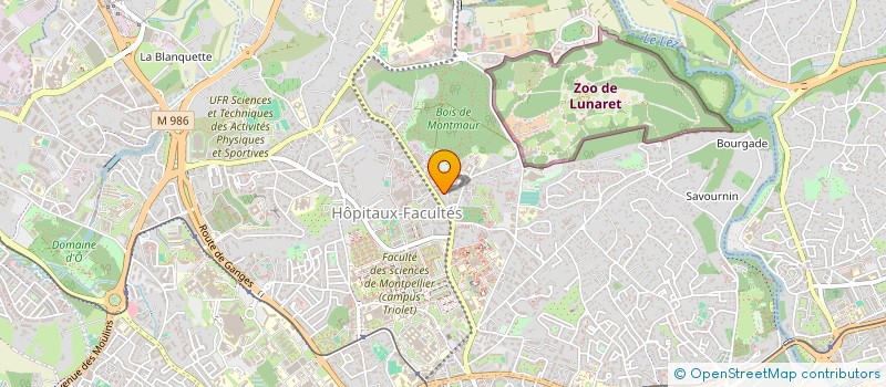 localisation de l'entreprise MONSIEUR NICOLAS HENON à MONTPELLIER