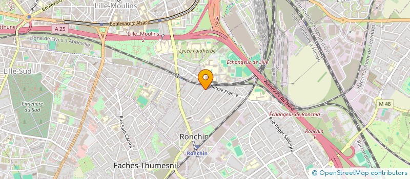 localisation de l'entreprise MONSIEUR NICOLAS HENRY  RONCHIN