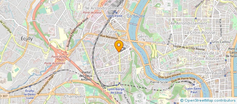 localisation de l'entreprise MONSIEUR NICOLAS HENRY  LYON