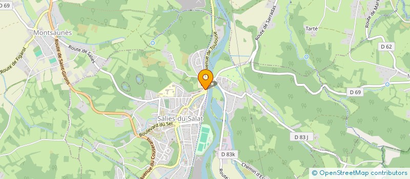 localisation de l'entreprise MONSIEUR NICOLAS HENRY  SALIES-DU-SALAT