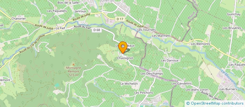 localisation de l'entreprise MONSIEUR NICOLAS HIRSCH  CHENAS