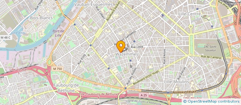 localisation de l'entreprise MONSIEUR NICOLAS HOVART à LILLE