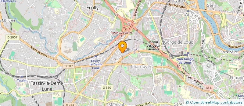 localisation de l'entreprise MONSIEUR NICOLAS JACQUES  TASSIN-LA-DEMI-LUNE