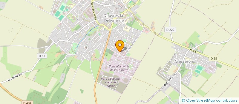 localisation de l'entreprise MONSIEUR NICOLAS JAMME  DOUVRES-LA-DELIVRANDE