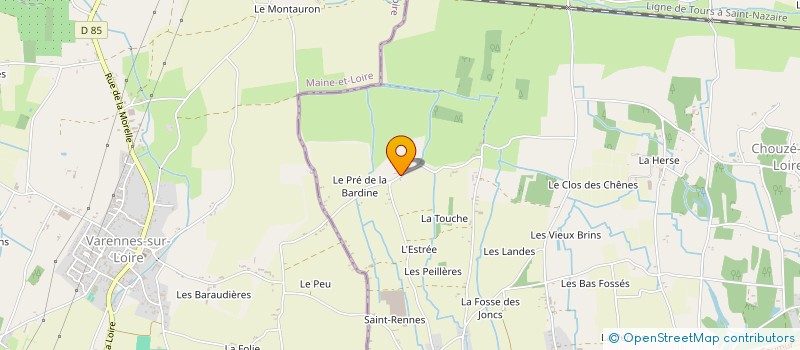 localisation de l'entreprise MONSIEUR NICOLAS JAUSELON  CHOUZE-SUR-LOIRE