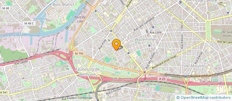 localisation de l'entreprise MONSIEUR NICOLAS JOUANNE à LILLE