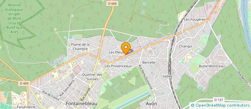 localisation de l'entreprise MONSIEUR NICOLAS JULIEN BULIC à AVON