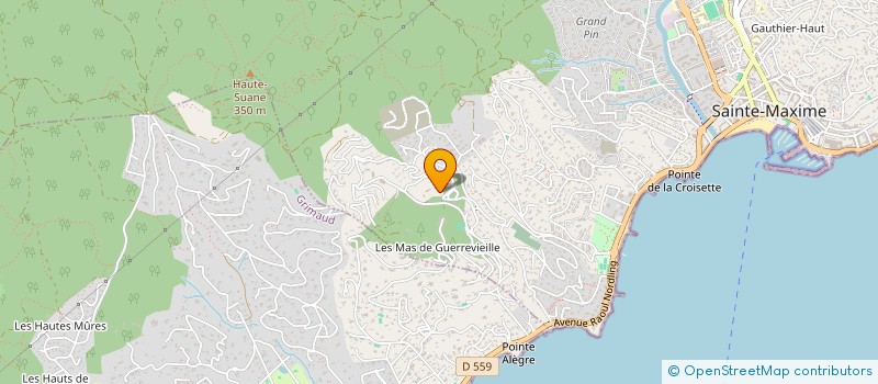 localisation de l'entreprise MONSIEUR NICOLAS JUSPIN à SAINTE-MAXIME