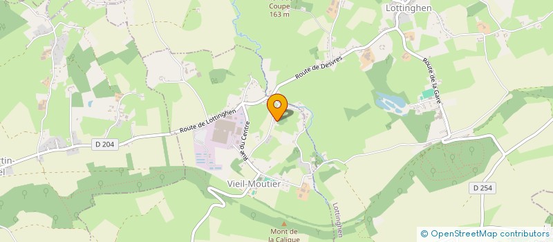 localisation de l'entreprise MONSIEUR NICOLAS LAFARGUE  VIEIL-MOUTIER