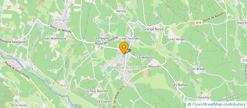 localisation de l'entreprise MONSIEUR NICOLAS LARANJEIRA  REGNIE-DURETTE