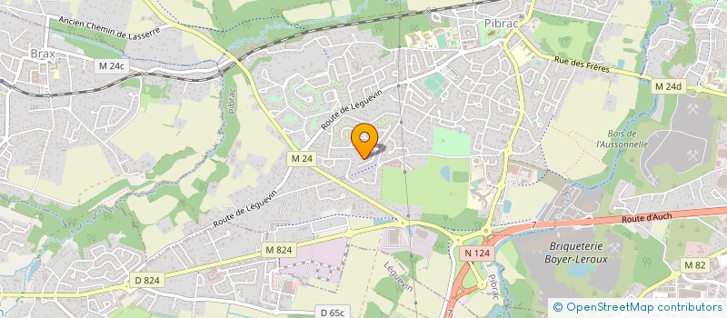 localisation de l'entreprise MONSIEUR NICOLAS LARIONOFF  PIBRAC