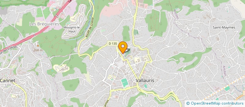 localisation de l'entreprise MONSIEUR NICOLAS LAVITOLA SCHWEBEL  VALLAURIS