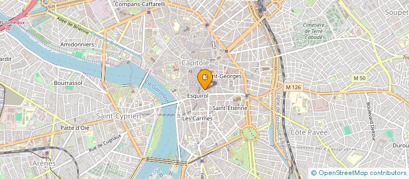localisation de l'entreprise MONSIEUR NICOLAS LECHON à TOULOUSE