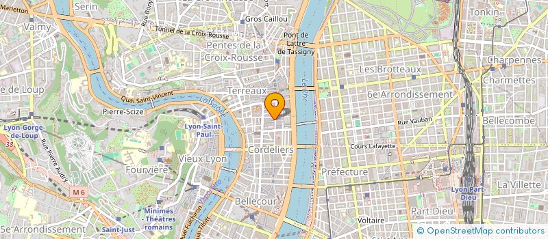 localisation de l'entreprise MONSIEUR NICOLAS LEDRU à LYON