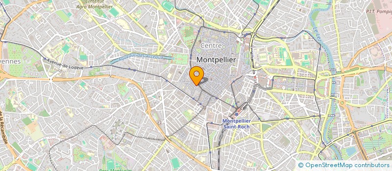 localisation de l'entreprise MONSIEUR NICOLAS LEMENAGER à MONTPELLIER