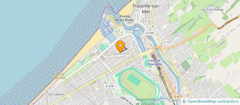 localisation de l'entreprise MONSIEUR NICOLAS LEMOINE  DEAUVILLE