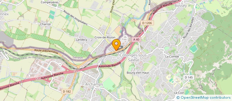 localisation de l'entreprise MONSIEUR NICOLAS LEONARD  COLLONGES-SOUS-SALEVE