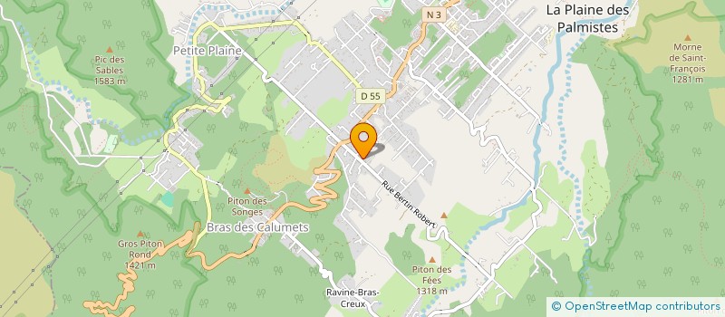 localisation de l'entreprise MONSIEUR NICOLAS LEPERLIER  LA PLAINE-DES-PALMISTES