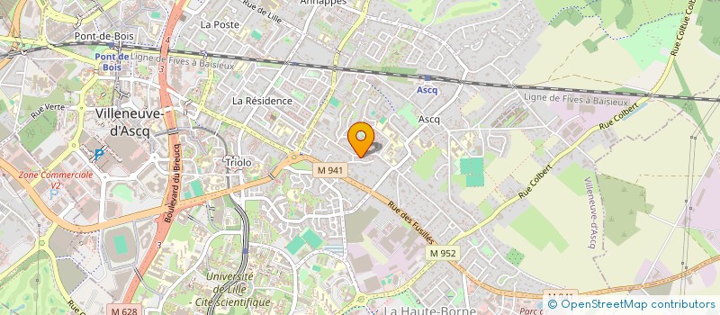 localisation de l'entreprise MONSIEUR NICOLAS LESEIGNEUR  VILLENEUVE-D'ASCQ