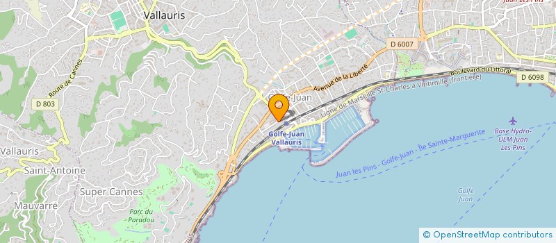 localisation de l'entreprise MONSIEUR NICOLAS LETOURNEAU  VALLAURIS