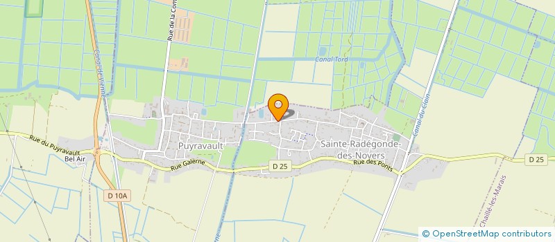 localisation de l'entreprise MONSIEUR NICOLAS LIGONNIERE  SAINTE-RADEGONDE-DES-NOYERS