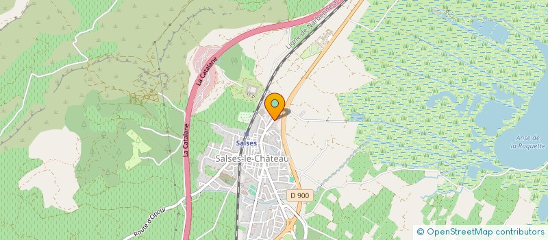 localisation de l'entreprise MONSIEUR NICOLAS LISSOUBA  SALSES-LE-CHATEAU