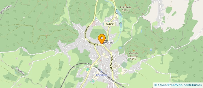 localisation de l'entreprise MONSIEUR NICOLAS LITIQUE  BRUYERES