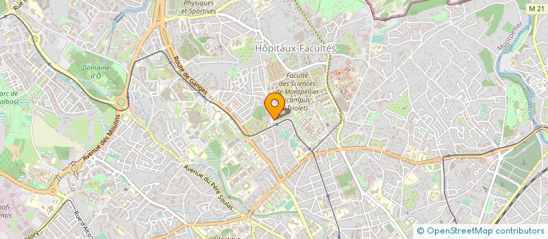 localisation de l'entreprise MONSIEUR NICOLAS LONJON à MONTPELLIER