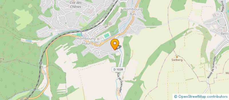 localisation de l'entreprise MONSIEUR NICOLAS LOTZ  HOMBOURG-HAUT