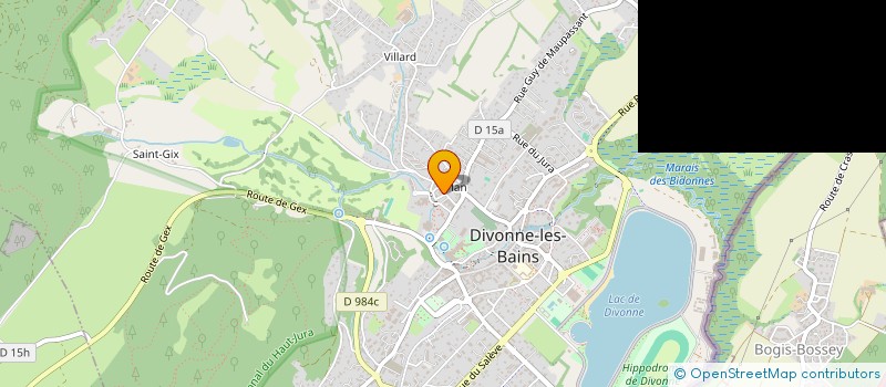 localisation de l'entreprise MONSIEUR NICOLAS MAESANI  DIVONNE-LES-BAINS