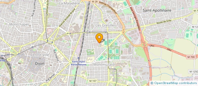 localisation de l'entreprise MONSIEUR NICOLAS MAGNIEN à DIJON