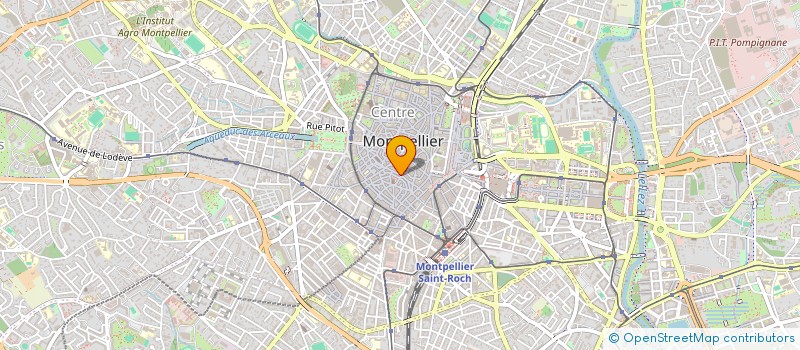localisation de l'entreprise MONSIEUR NICOLAS MAHASENGA à MONTPELLIER