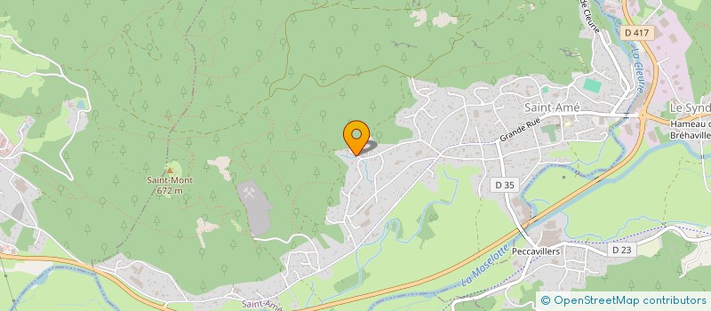 localisation de l'entreprise MONSIEUR NICOLAS MANGIN  SAINT-AME